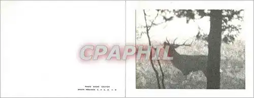 Moderne Karte Chasse Cerf