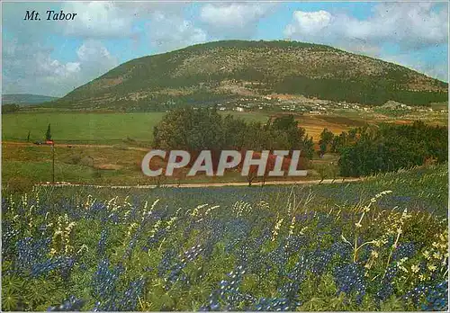 Cartes postales moderne Mont Tabor