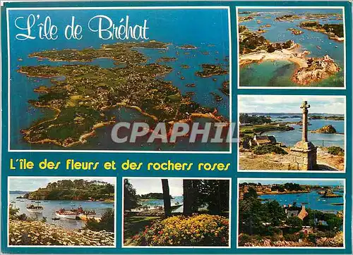 Cartes postales moderne Ile de Brehat Couleurs de Bretagne L'Ile des Fleurs et des Roches Roses