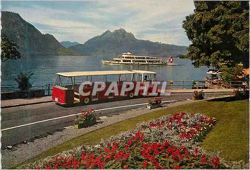 Cartes postales moderne Lido Bus Kurort Weggis mit Pilatus Train Bateau