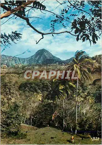 Moderne Karte Martinique Paysage du Morne Vert