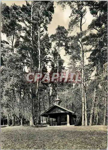 Cartes postales moderne Chateau du Bois Belfaux (Frg)