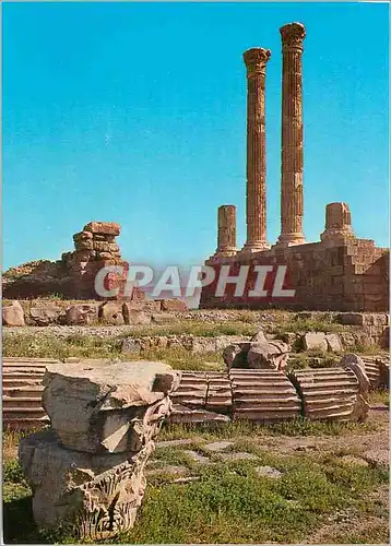 Moderne Karte Algerie Timgad Les Colonnes du Capitole