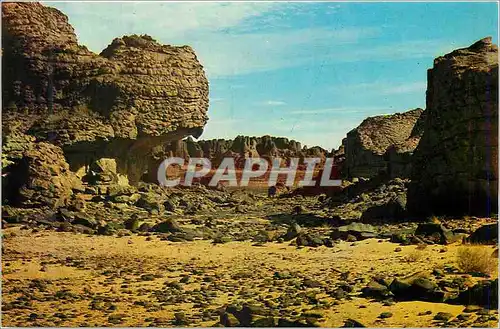 Cartes postales moderne Tassili N'Ajjer Canyon