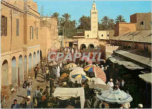 Cartes postales moderne Algerie Biskra Le Marche et la Mosquee