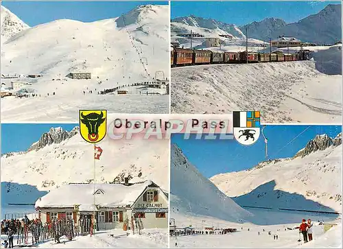 Cartes postales moderne Oberalp Passhohe 2044 m