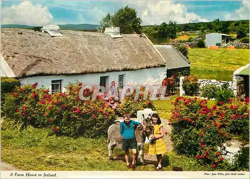 Cartes postales moderne Farm House in Ireland Ane Donkey