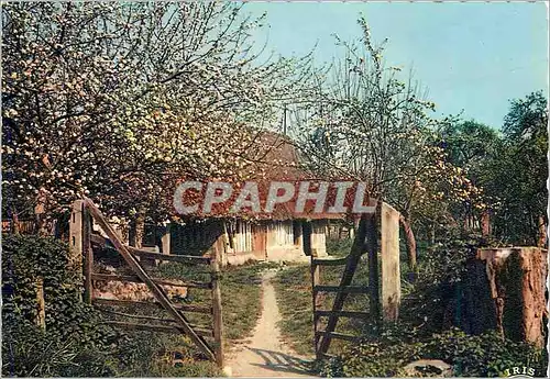 Cartes postales moderne Charme et Couleurs de la Normandie Ferme Normande