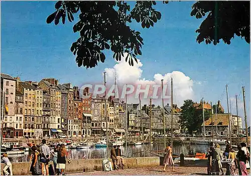 Moderne Karte Honfleur (Calvados) Le Vieux Bassin Les Facades Typiques du Quai Sainte Catherine