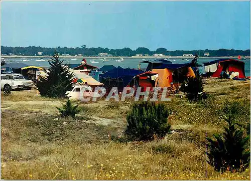 Cartes postales moderne Ile de Re (Char Marit) Camping de Rivedoux
