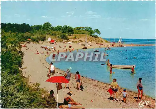 Cartes postales moderne Ile de Re (Charente Maritime) la Plage et le Bois de Trousse Chemise la Cote Atlantique