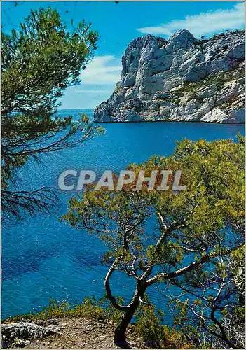 Cartes postales moderne Marseille Nos Belles Calanques Sormiou