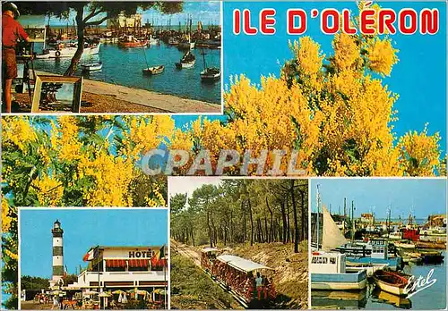 Cartes postales moderne Ile d'Oleron (Charente Maritime) la Cote Atlantique
