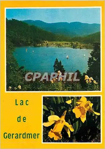 Cartes postales moderne Gerardmer la Perle des Vosges