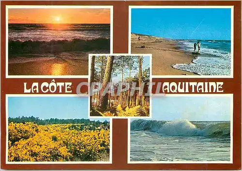 Cartes postales moderne La Cote Aquitaine