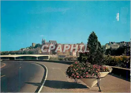 Cartes postales moderne Angers (M et L) Boulevard du Bon Pasteur