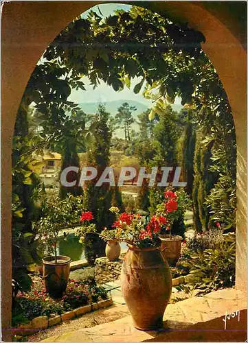 Cartes postales moderne La Cote d'Azur Miracle de la Nature Jardin Provencal Couleurs et Lumiere de France