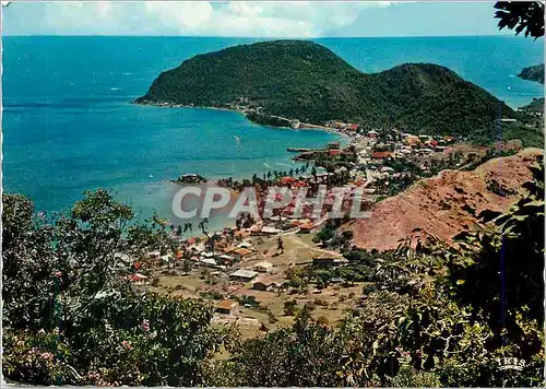 Cartes postales moderne Les Saintes Panorama du Village de Terre de Haut