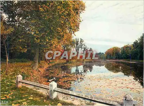 Cartes postales moderne Melancolie et Douceur de l'Automne Paysage de France