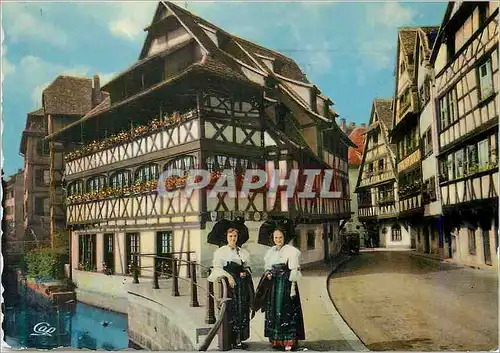 Cartes postales moderne Strasbourg le Bain aux Plantes Folklore