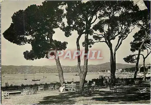 Cartes postales moderne Juan les Pins la Pinede