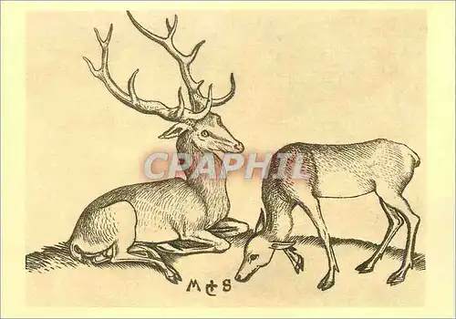 Moderne Karte Colmar vers 1450 Brisach 1491 Martin Schongauer peintre Graveur Le Cerf et la Biche