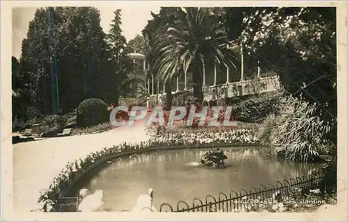 Cartes postales moderne Grasse Ses jardins