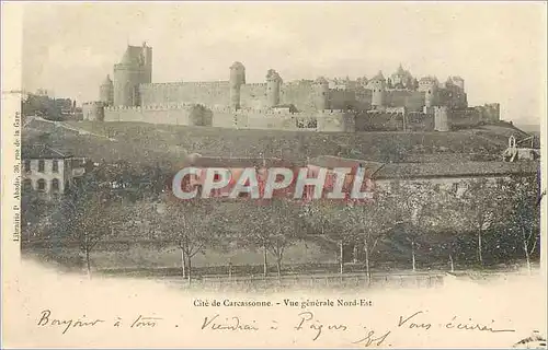Cartes postales Cite de Carcassonne Vue Generale Nord Est