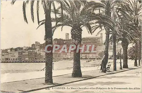 Ansichtskarte AK Cannes Le Mont Chevalier et les Palmiers de la Promenade des Allies