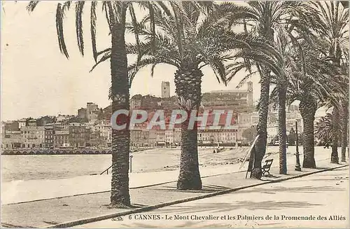 Cartes postales Cannes Le Mont Chevalier et les Palmiers de la Promenade des Allies
