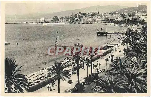 Cartes postales Cannes Vue prise du Miramar