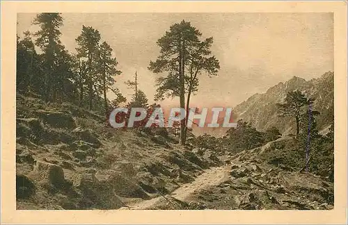 Cartes postales Cauterets Chemin du Lac