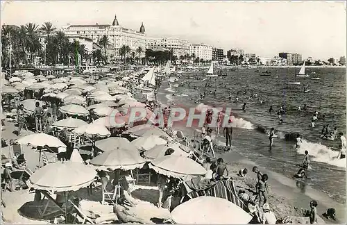 Cartes postales moderne Cannes La Cote d'Azur La Plage