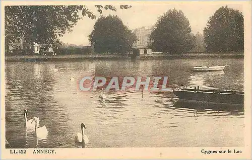 Cartes postales Annecy Cygnes sur le Lac