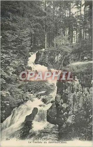 Ansichtskarte AK Gerardmer La Cascade du Saut des Cuves