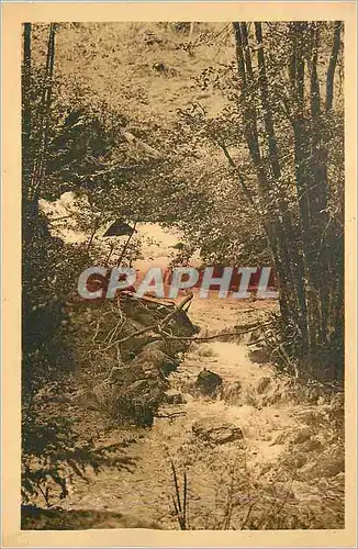 Cartes postales Abbaye de la Pierre qui Vire (Yonne) La Cascade de l'Ile Sainte Marie