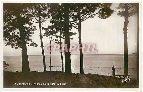 Cartes postales moderne Arcachon Les Pins sur le Bord du Bassin