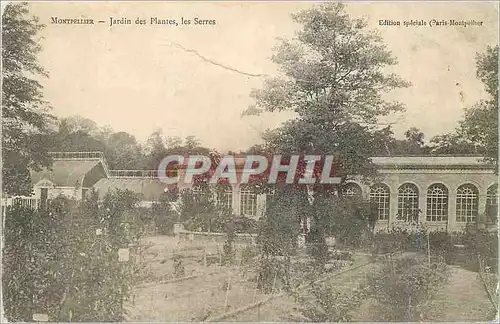Cartes postales Montpellier Jardin des Plantes Les Serres