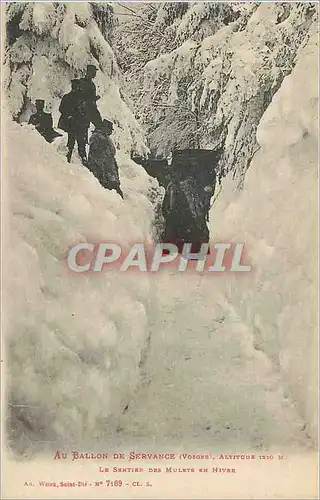 Cartes postales Au Bollon de Servance (Vosges) Alt 1210 m Les Sentier des Mulets en Hivers Militaria