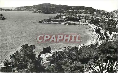Cartes postales moderne Beaulieu sur Mer (A M) Le Port Le Cap Ferrat