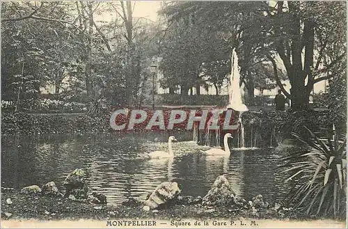Cartes postales Montpellier Square de la Gare Cygnes