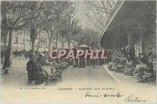 REPRO Cannes Marche aux Fleurs