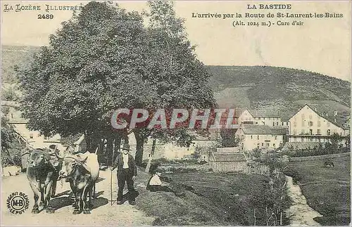 REPRO La Bastide La Lozere Illustree L'Arrivee par la Route de St Laurent les Bains (alt 1024 m) Cur