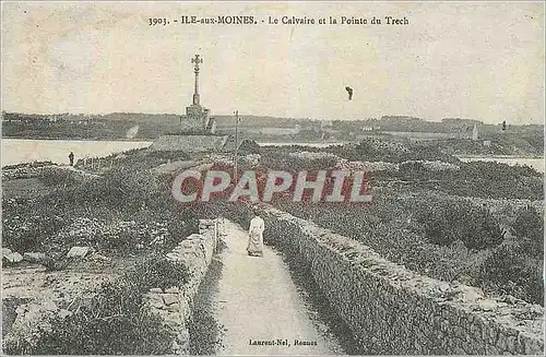 REPRO Ile aux Moines le Calvaire et la Pointe du Trech