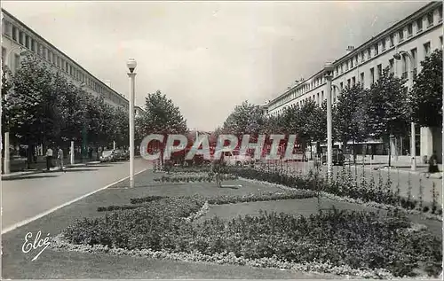 Cartes postales moderne Royan (Charente Maritime) Avenue Aristide Briand Automobile