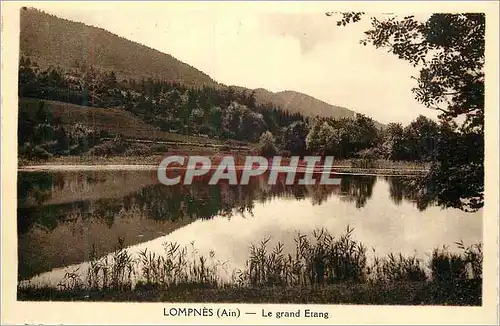 Cartes postales moderne Lompnes (Ain) le Grand Etang