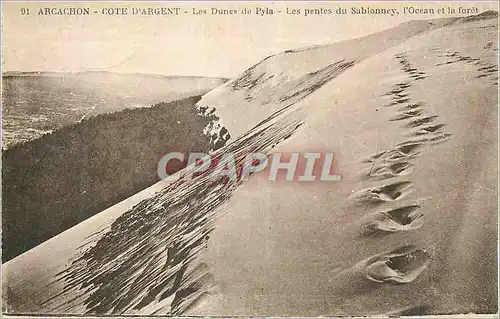 Ansichtskarte AK Arcachon Cote d'Argent Les Dunes de Pyla Les Pentes du Sablonney l'Ocean et la Foret