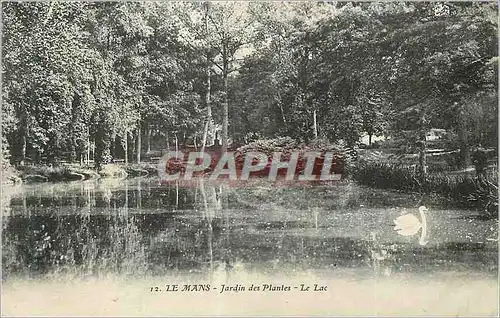 Ansichtskarte AK Le Mans Jardin des Plantes Le Lac Cygne