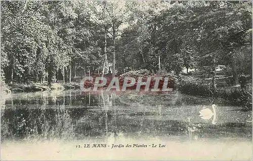 Cartes postales Le Mans Jardin des Plantes Le Lac Cygne