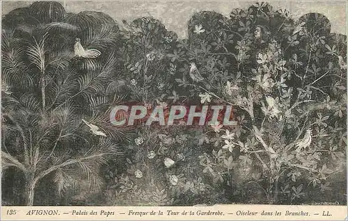 Cartes postales Avignon Palais des Papes Fresque de la Tour de la Garderobe Oiscleur dans les Branches